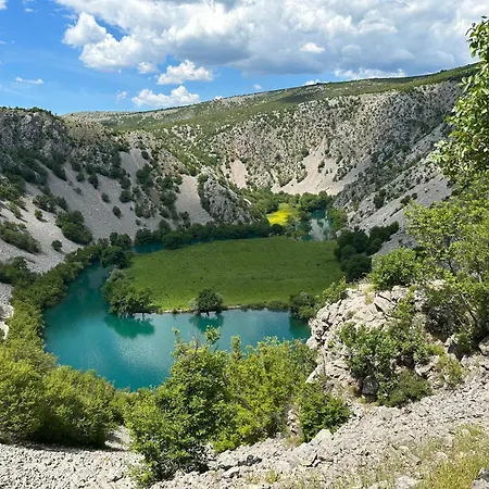 Alex 1 * Zadar