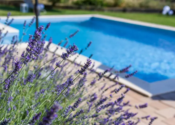 Appartamento Alex 1 *